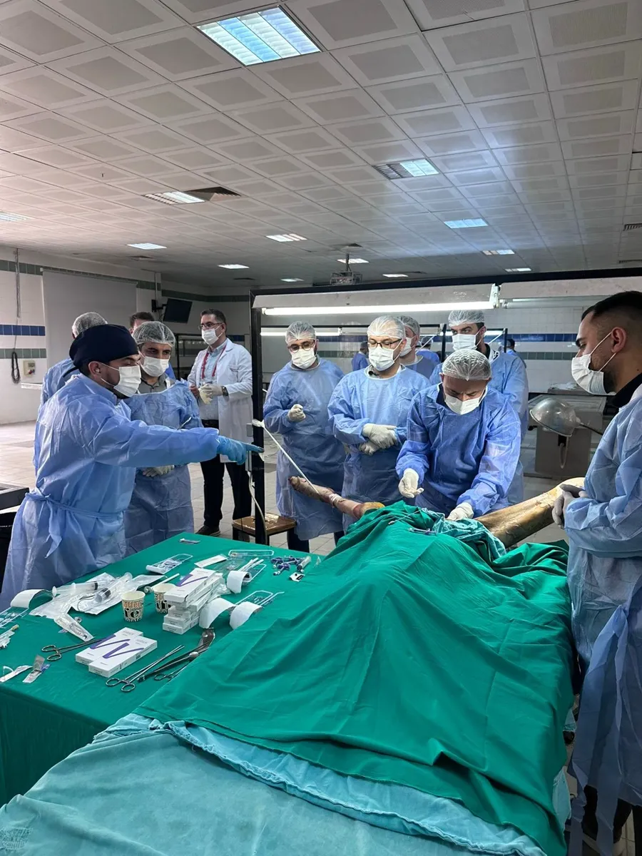 Course participants working at the training table with surgical instruments laid out